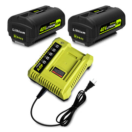 Ryobi 40V Battery and Charger